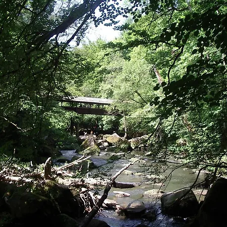 Hotel Bitburg Hotel 3*