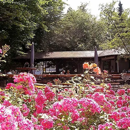 Hotel Bitburg 3* Bitburg