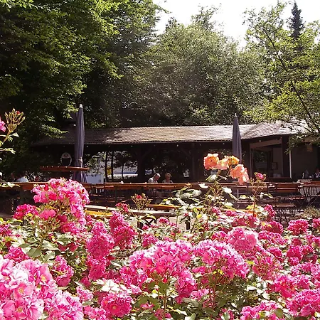 Hotel Bitburg 3* بيتبورغ
