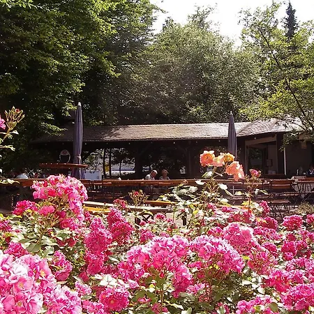 فندق Hotel Bitburg 3*