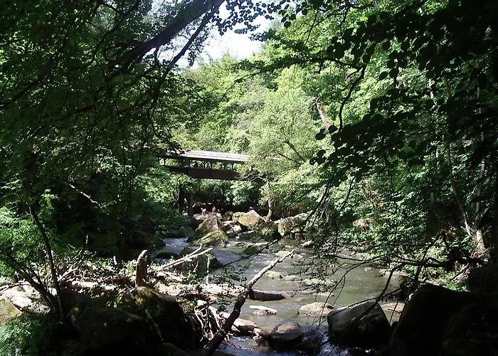 Hotel Bitburg מלון 3*